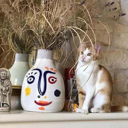 Saint House Couette-café