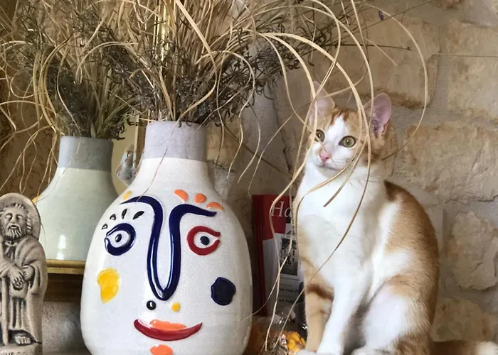 Saint House Bed & Breakfast