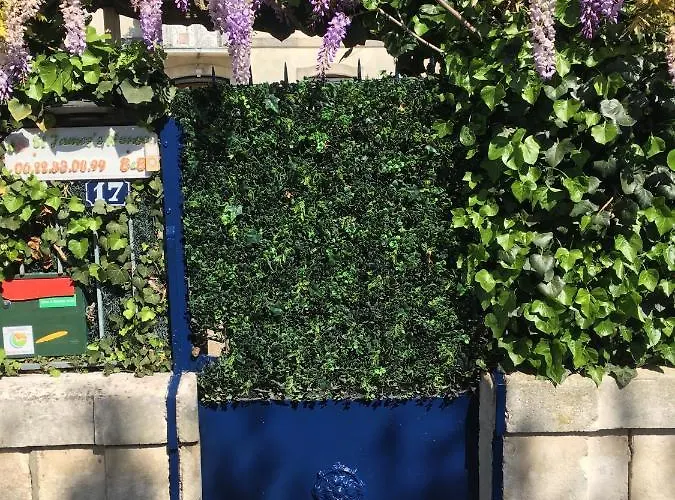 Bed & Breakfast Saint House